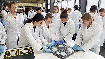Studierende führen in einem Labor ein Experiment durch
